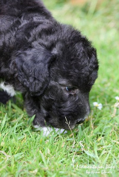 Arc-en-ciel Antares 2009-06-17 (9).JPG